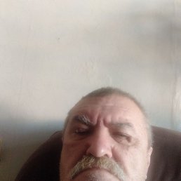 �����, ���, 65 ���