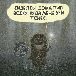 ���� �����, �������, 39 ��� - ��������� 15 ������� 2024