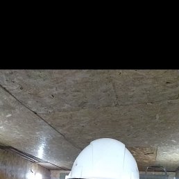 ���� �������, ������, 54 ���� - ��������� 16 ������� 2025