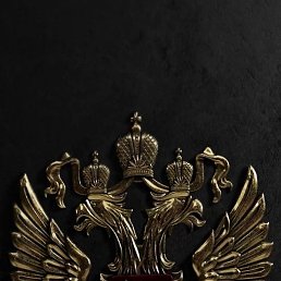 ����, ������ ��������, 44 ����