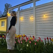 �����, 31 ���, ������