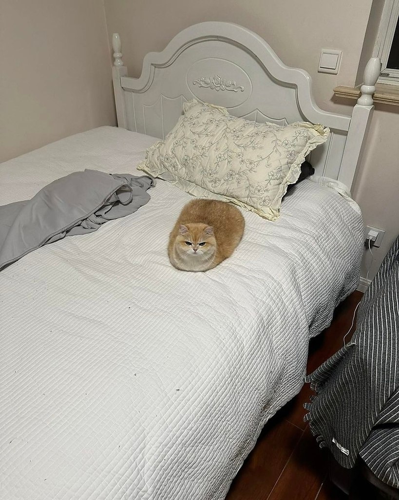      ?