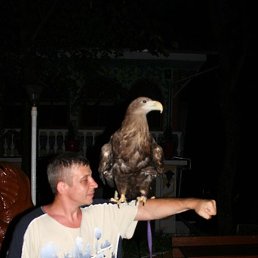 ���������, �������, 52 ����