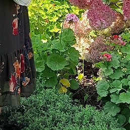 ��������, ������, 62 ����