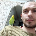 ���� ����, �����������, 41 ��� - ��������� 13 ������� 2023 � ������ ���� ����������