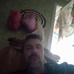 ������, 39 ���, �����