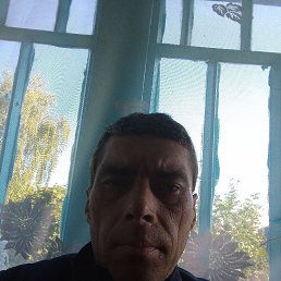 , 40, 