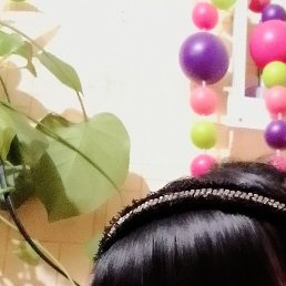 ����, ������, 54 ����