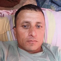 , 37 , 