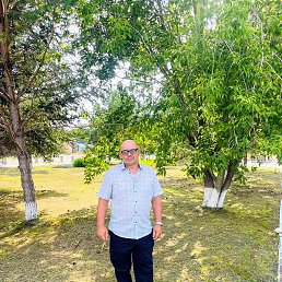 �����, ������������, 56 ���