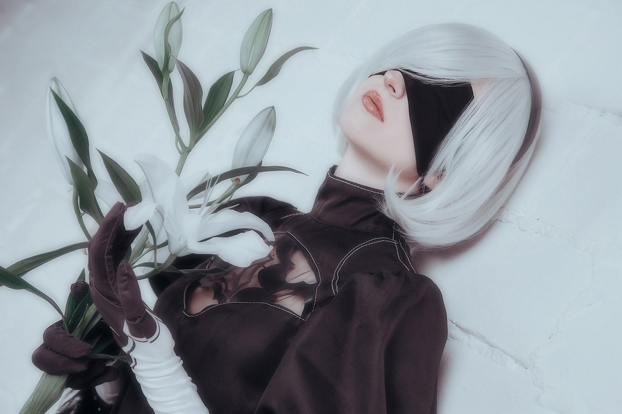   2B  Nier Automata - 5