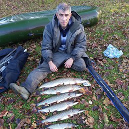 ���� ������, �������, 41 ��� - ��������� 23 ������� 2026