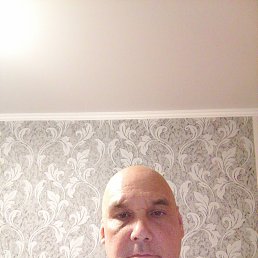 , 56 , 