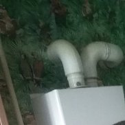 �����, 39 ���, ������