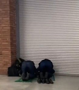 �����������