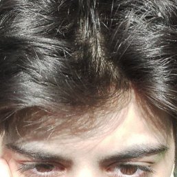 �����, �����-���������, 22 ����