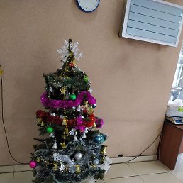 Sardor, �����, 26 ���