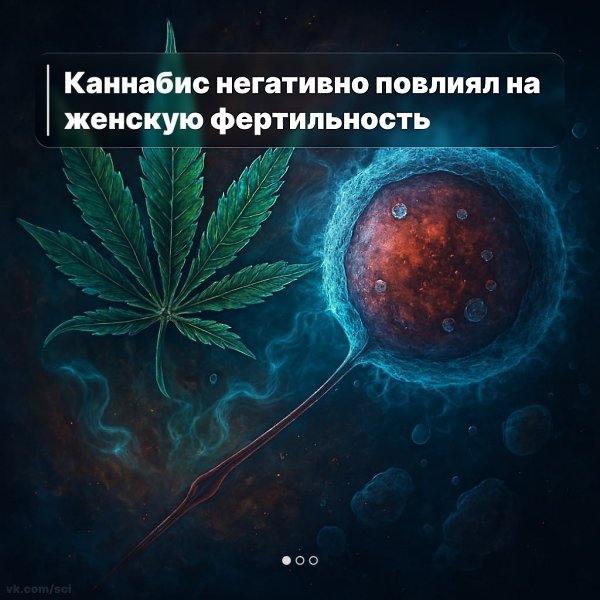  |  |   5 - 20  2025  12:43