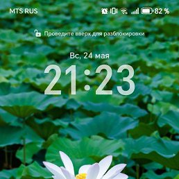 ���� �����, ���, 27 ��� - ��������� 25 ��� 2026