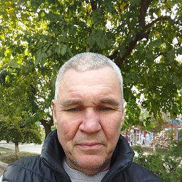 , 54, 