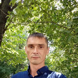 , 41 , 