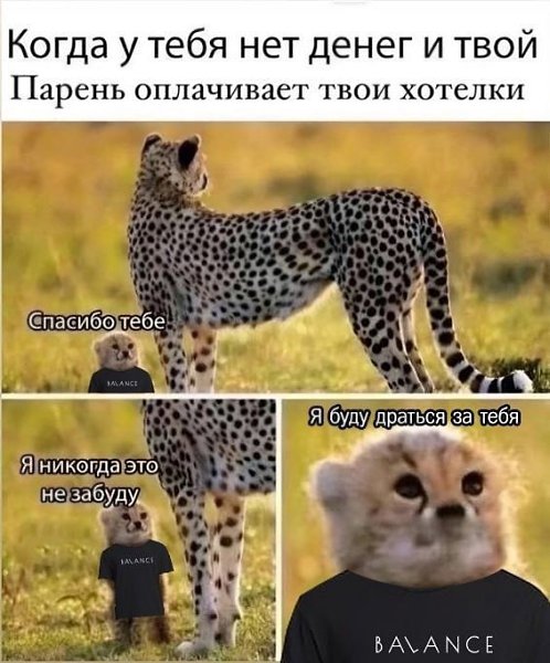 ,   . : 156233114