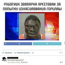 ���� �����, ������, 50 ��� - ��������� 8 ������ 2024 � ������ ������ ��������