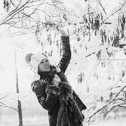 ���� ����, ������ - ��������� 11 ������� 2024