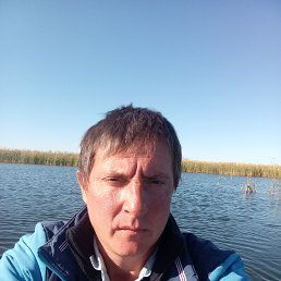 , 38 , 
