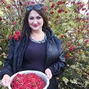 ���� ������, ������, 56 ��� - ��������� 8 ������� 2026