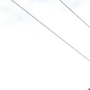 �������, 44 ����, �����