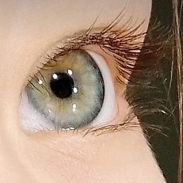 �����, �����-���������, 38 ���