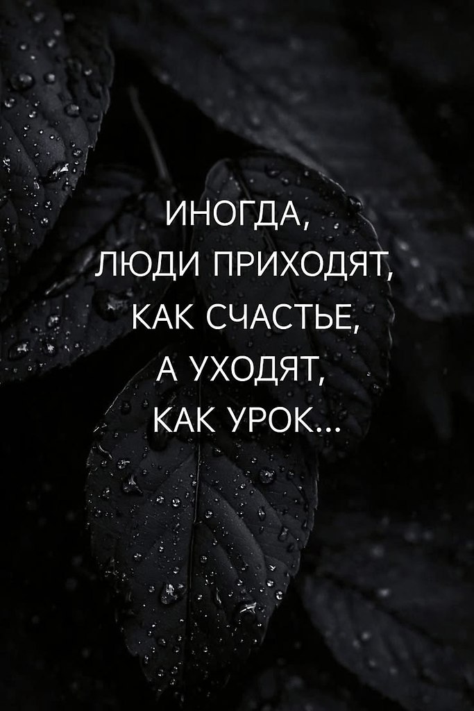 ������� - 31 ����� 2026 � 15:03
