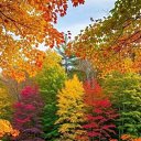  , , 53  -  13  2025   , , !!