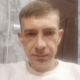 �����, ������, 41 ���