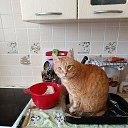 ���� ��������, ���������, 60 ��� - ��������� 7 ������ 2026 � ������ ������ ��������