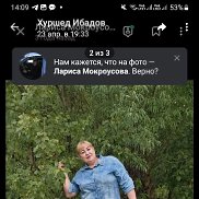 , 25 , 