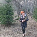 ���� �����, ��������, 43 ���� - ��������� 7 ������� 2024 � ������ ���� ����������