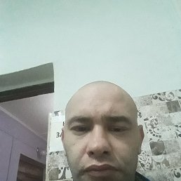 �����, 39 ���, ������