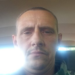 �������, �����, 41 ���