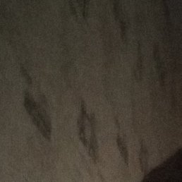 ������, �����-���������, 54 ����