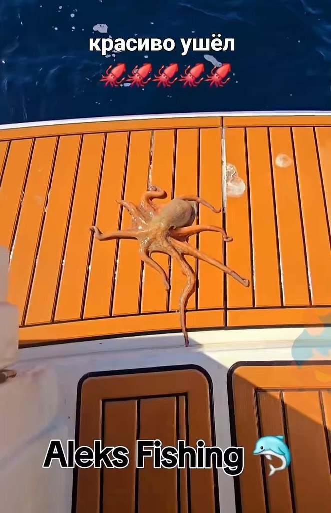 ��� ����, ������ ������� ���������� ����������� � ���������� ���������, ����� ��� ����� ����! ... - 2