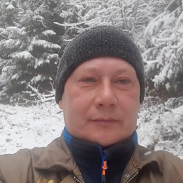 ���� �������, ����������, 49 ��� - ��������� 25 ����� 2024