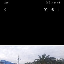 ������, ������, 44 ����