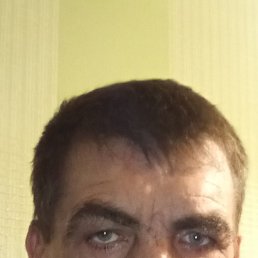 , 48, 