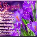  °••° ©, , 46  -  8  2025    