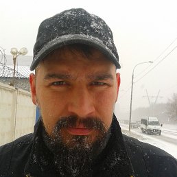 ������, 41 ���, ���������