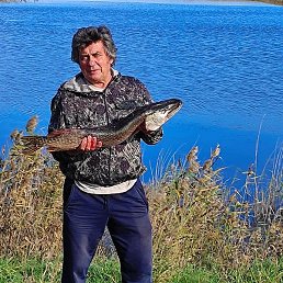 ���, ����