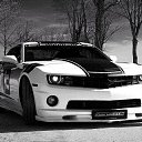 ���� ����, ������, 20 ��� - ��������� 5 �������� 2025