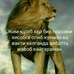 ���, �����, 46 ���